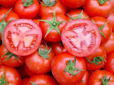 Podagra hastaları domates yiyebilir mi?