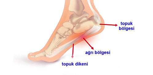 1. Uygun ayakkabı seçimi